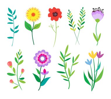 Büyük çiçekler ve yapraklar dizi doodle. Bahar öğeleri. Yaz arka plan. Vektör çizim. Çiçek kümesi