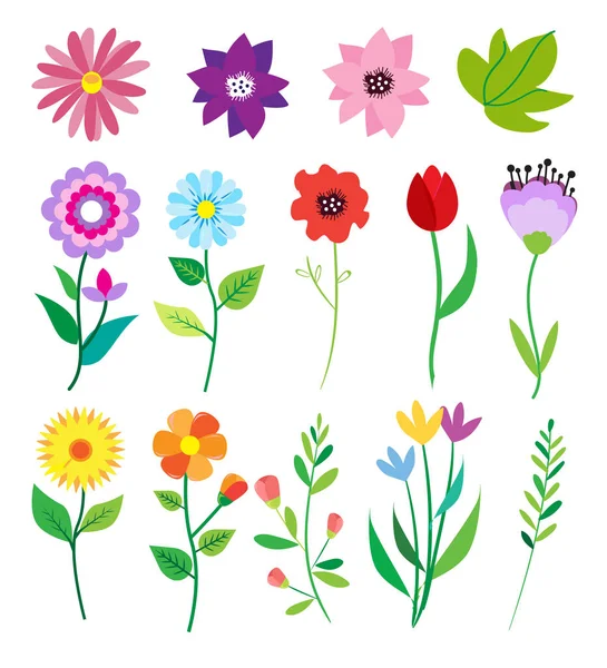 Büyük çiçekler ve yapraklar dizi doodle. Bahar öğeleri. Yaz arka plan. Vektör çizim. Çiçek kümesi