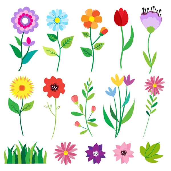 Großes Gekritzel aus Blumen und Blättern. Federelemente. Sommer-Hintergrund. Vektorillustration. Blumenset — Stockvektor