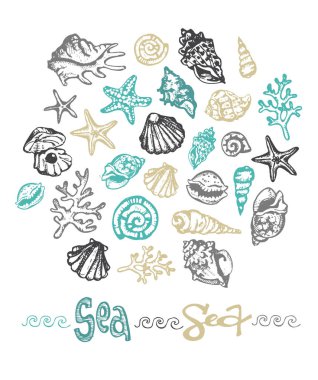 Elle çizilmiş doodle deniz illüstrasyon. Kabuk. Denizaltı.