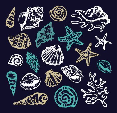 Elle çizilmiş doodle deniz illüstrasyon. Kabuk. Denizaltı.