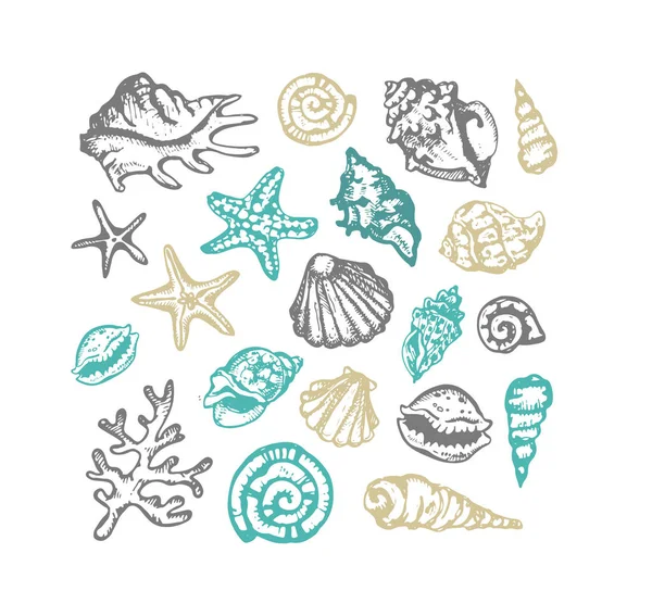 Elle çizilmiş doodle deniz illüstrasyon. Kabuk. Denizaltı.