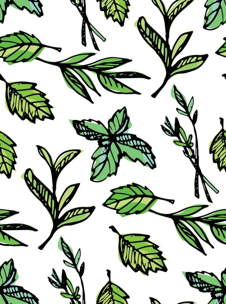Modèle de doodle dessiné à la main avec menthe, herbes de thé, feuilles. Illustration vectorielle — Image vectorielle
