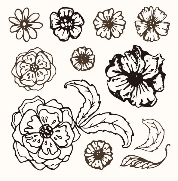 Set de fleurs : fleurs et feuilles dessinées à la main très détaillées. Illustration vectorielle — Image vectorielle