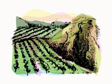 Bağ manzara vektör tasarım eskiz. Elle çizilmiş illüstrasyon. 