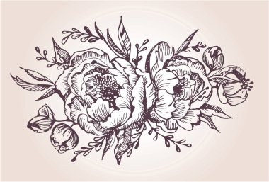 Çiçek kümesi: son derece detaylı elle çizilmiş çiçek ve yaprakları. Yaz çiçek. Bahar çiçek.