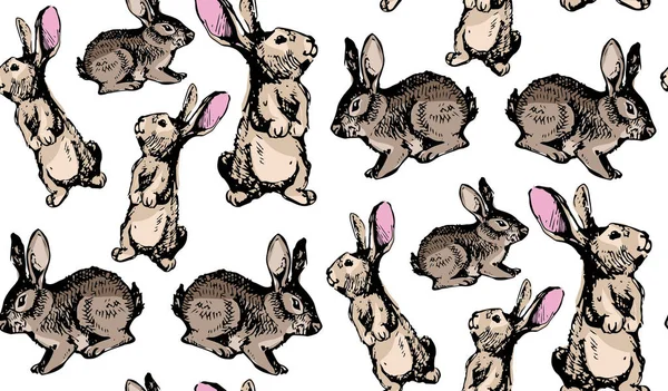 Conejito para fondos de pantalla imágenes de stock de arte vectorial | Depositphotos Conejito para fondos de pantalla imágenes de stock de arte vectorial | Depositphotos