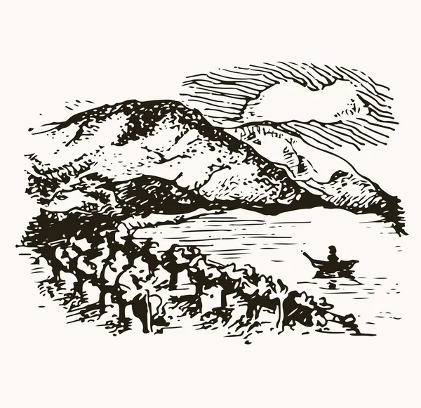 Desenho de esboço de vetor de paisagem de vinha. Ilustração desenhada à mão . —  Vetores de Stock