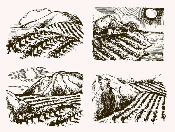 Weinberg Landschaft Vektor Skizzenentwurf. Handgezeichnete Illustration. — Stockvektor
