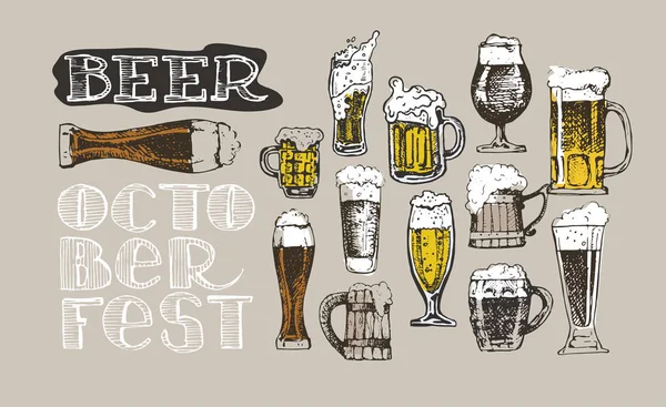 Sör rajz Vector Art Stock Images | Depositphotos