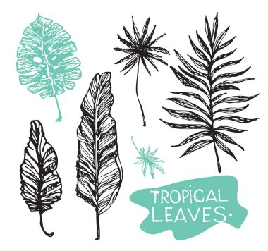 Elle çizilmiş doodle tropikal palmiye yaprakları
