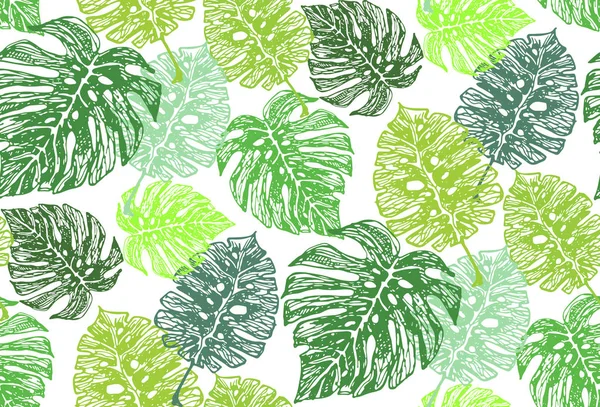 Padrão Doodle Desenhado Mão Com Folhas Palmeira Folhas Tropicais — Vetor de Stock