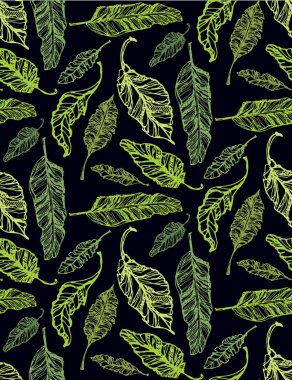 Elle çizilmiş doodle desen palmiye ağacı ile bırakır. Tropikal yaprak