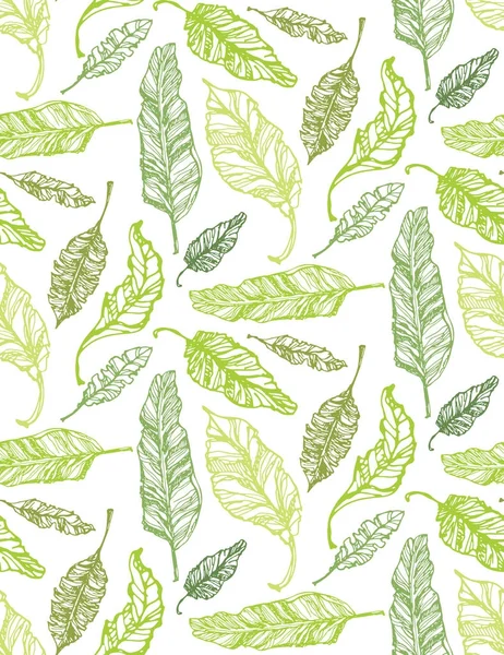 Αφήνει Χέρι Συντάσσονται Doodle Μοτίβο Φοίνικα Τροπικά Φύλλα — Διανυσματικό Αρχείο