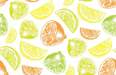 Elle çizilmiş doodle narenciye desen