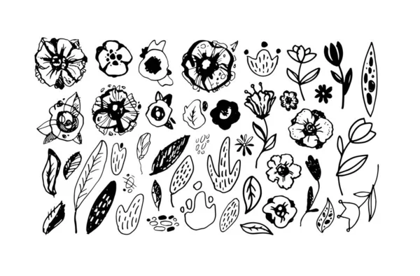 Hojas Garabato Dibujadas Mano Abstractas Flores Diseño Botánico Elementos Diseño — Archivo Imágenes Vectoriales