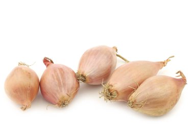 Taze Hollandalı arpacık