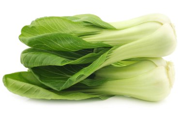 taze Shanghai (küçük) paksoi 