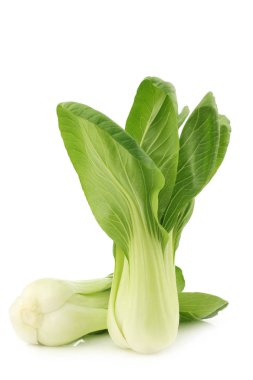 taze Shanghai (küçük) paksoi 