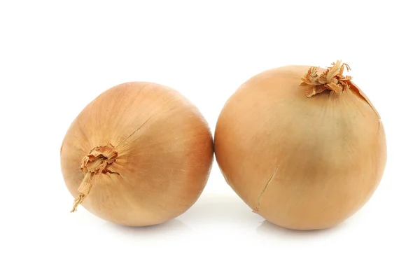 Two big brown onions — Stock Photo, Image
