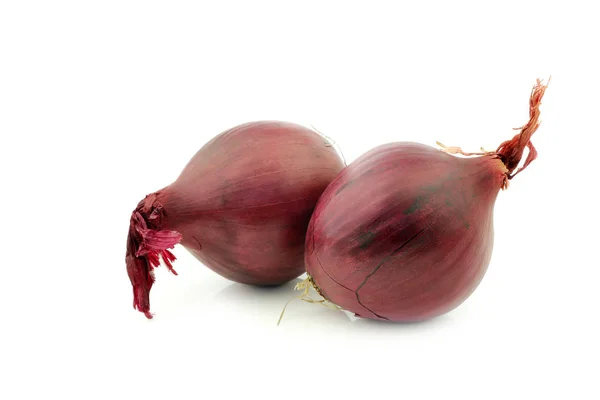 Two red onions — Stock Photo, Image