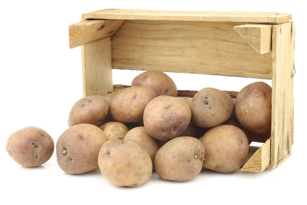 所谓"库普曼斯蓝的新鲜荷兰土豆" — 图库照片