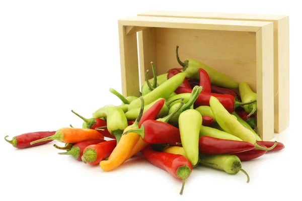 Pimentão rawit vermelho e verde (Capsicum annuum 'Bird' s Eye ' ) — Fotografia de Stock