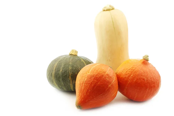 Orange, green and a butternut pumpkin — Stock Photo, Image