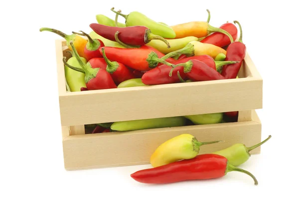 Red and green rawit peppers (Capsicum annuum 'Bird's Eye') — Stok fotoğraf