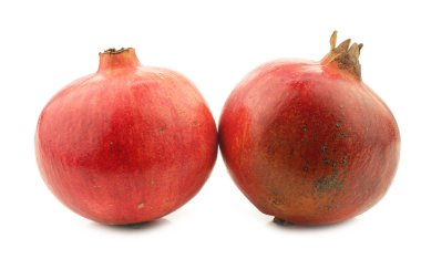 İki nar (Punica granatum)