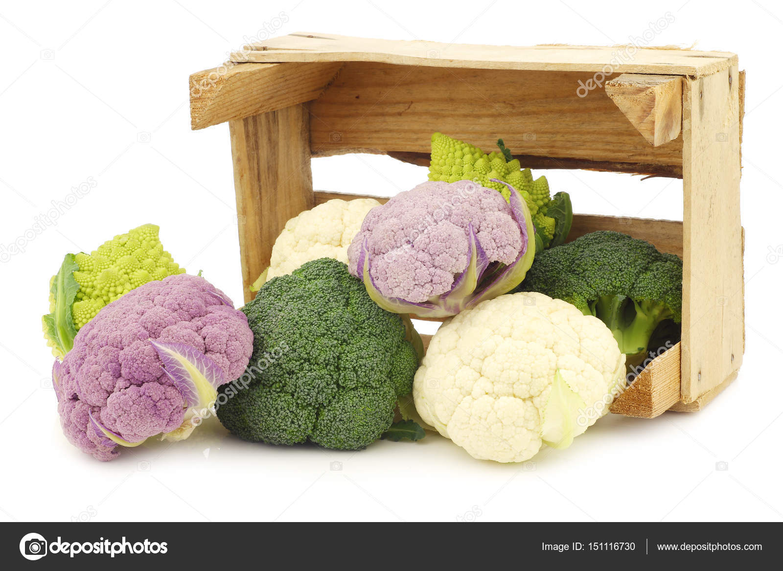 罗马花椰菜 新鲜的菜花 紫花菜和绿色花椰菜 图库照片 C Tpzijl 罗马花椰菜 新鲜的菜花 紫花菜和绿色花椰菜 图库照片 C Tpzijl