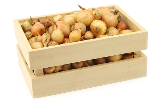 Cebolas marrons em uma caixa de madeira — Fotografia de Stock
