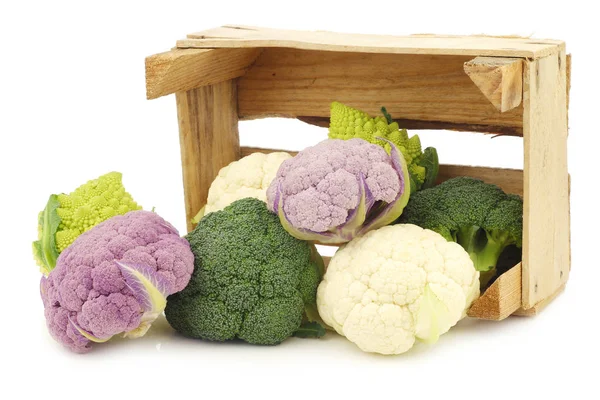 Brocoli Romanesco, chou-fleur frais, chou-fleur violet et brocoli vert — Photo