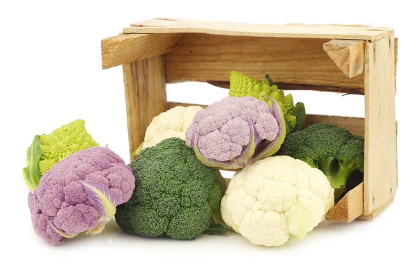 罗马花椰菜 新鲜的菜花 紫花菜和绿色花椰菜 图库照片 C Tpzijl 罗马花椰菜 新鲜的菜花 紫花菜和绿色花椰菜 图库照片 C Tpzijl