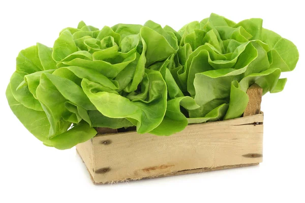 A fából készült láda, friss saláta — Stock Fotó