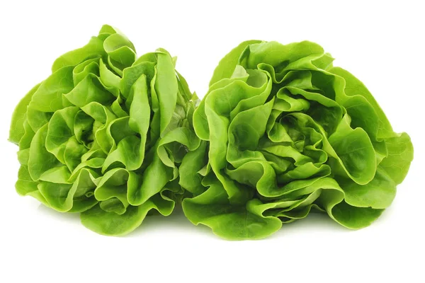 Čerstvý zelený hlávkový salát — Stock fotografie