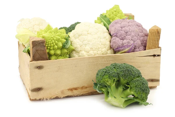 Romanesco broccoli, fresh cauliflower, purple cauliflower and green broccoli — Stock Photo, Image