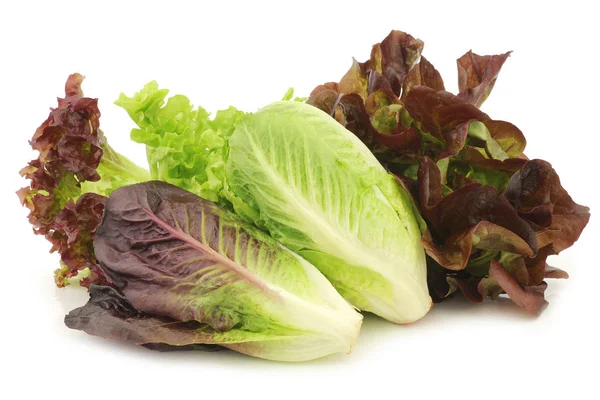 Fresh romaine and red lettuce — Stock Photo, Image