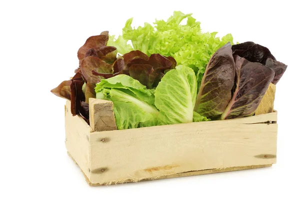 Lechuga fresca romana y roja en una caja de madera — Foto de Stock