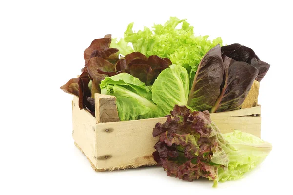 Fresh romaine and red lettuce in a wooden crate — Stock Photo, Image
