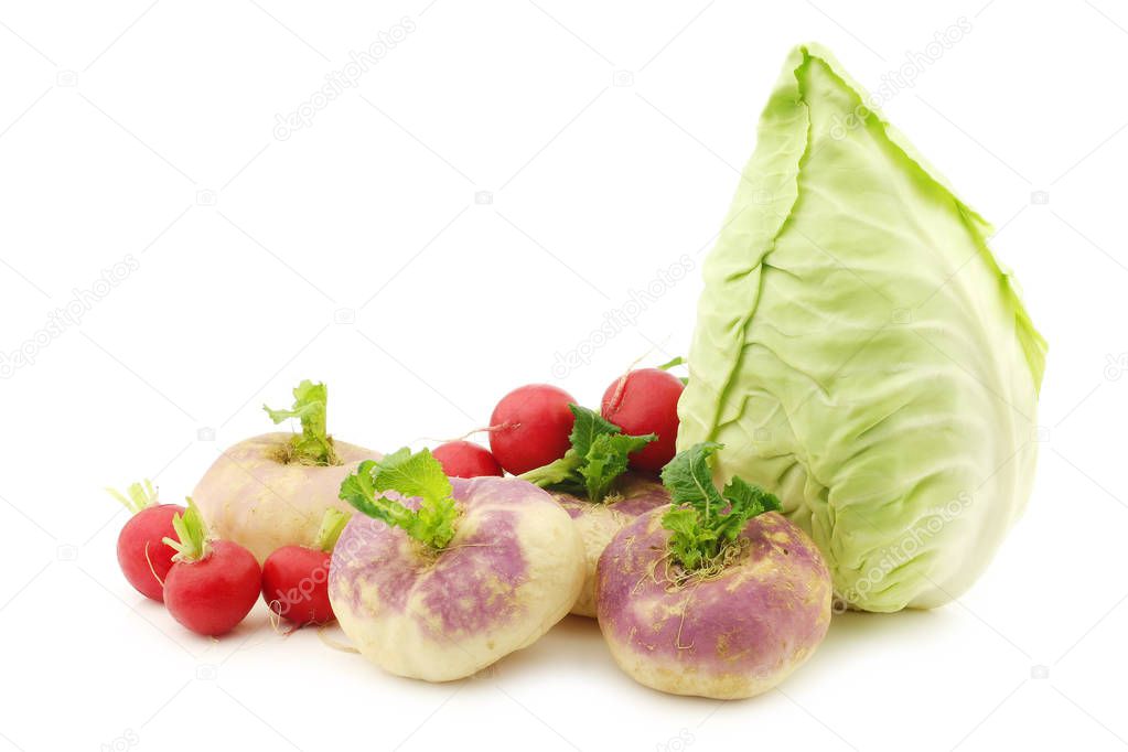 mix of cabbage,radishes and turnips