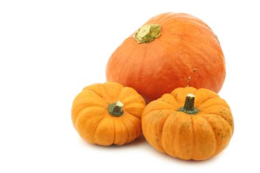 beyaz zemin üzerinde üç turuncu dekoratif kabaklar