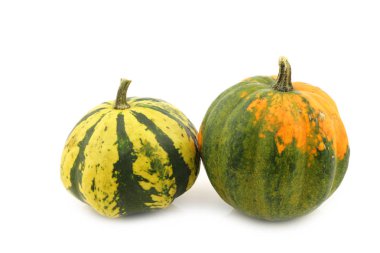 beyaz zemin üzerinde iki dekoratif kabaklar