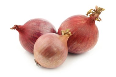 beyaz zemin üzerinde üç pembe soğan