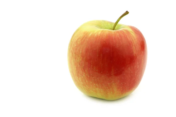 新鲜新的荷兰苹果品种称为 西西红色 白色背景 — 图库照片