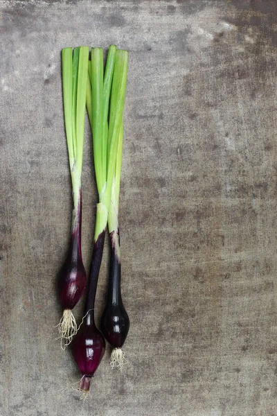 Cebolletas Rojas Recién Cortadas Sobre Fondo Metálico Grueso — Foto de Stock