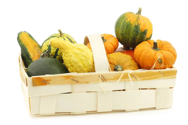 Colorful Decorative Pumpkins Straw Woven Basket White Background — Stock Photo, Image