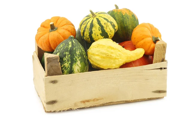 Colorful Decorative Pumpkins Wooden Crate White Background — Stock Photo, Image