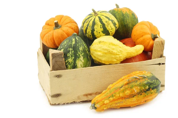 Colorful Decorative Pumpkins Wooden Crate White Background — Stock Photo, Image