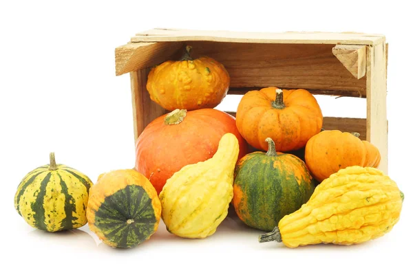 Colorful Decorative Pumpkins Wooden Crate White Background — Stock Photo, Image